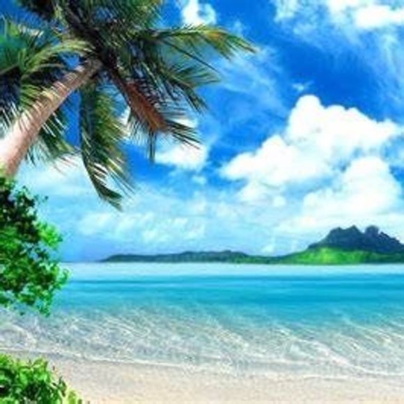 Meet your Posher, Patti - Picture 1 of 1